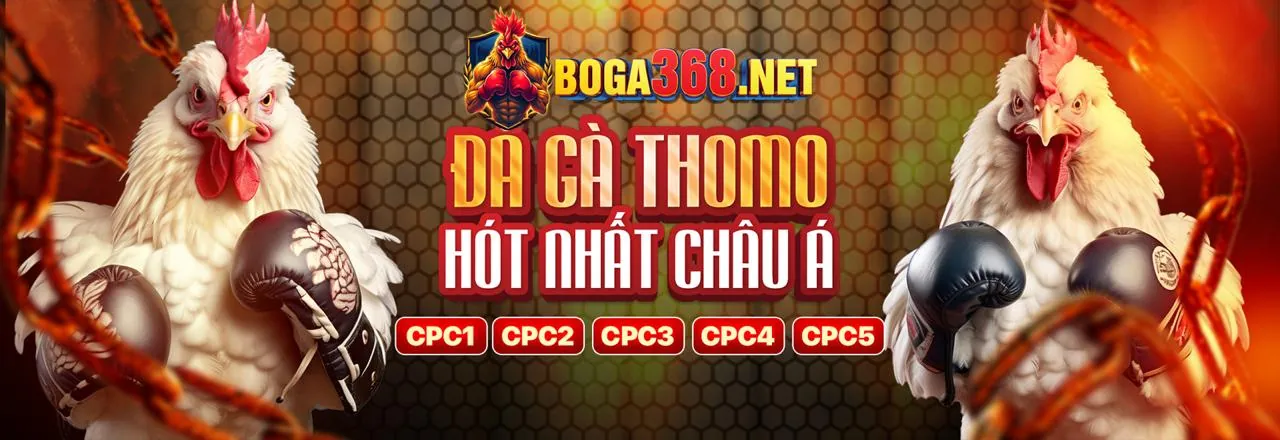 Sơ đồ các cấp độ VIP tại go888 casino